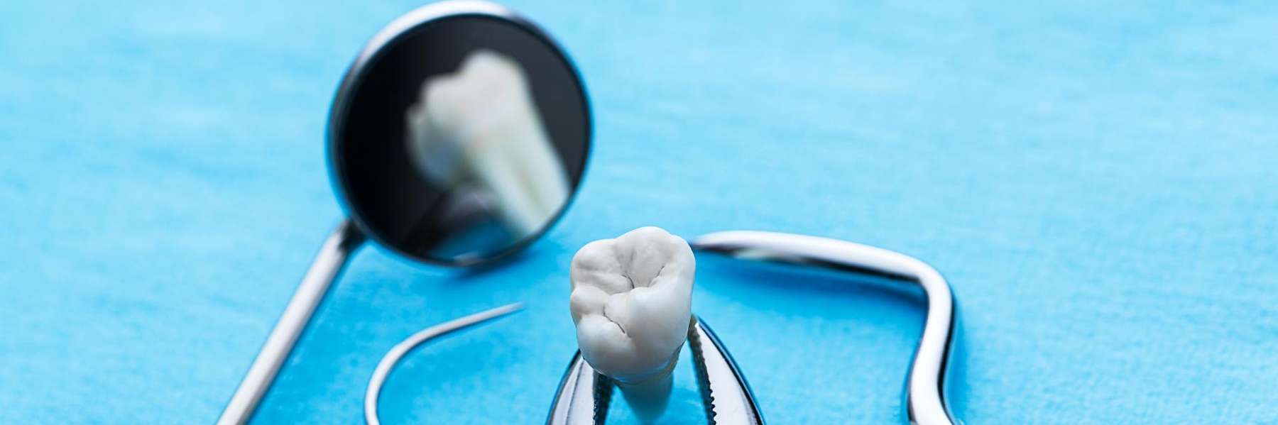 Tooth in a dental tool, huntsville al